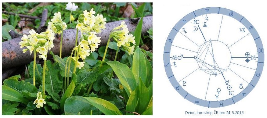 Denn� horoskop - obr�zek