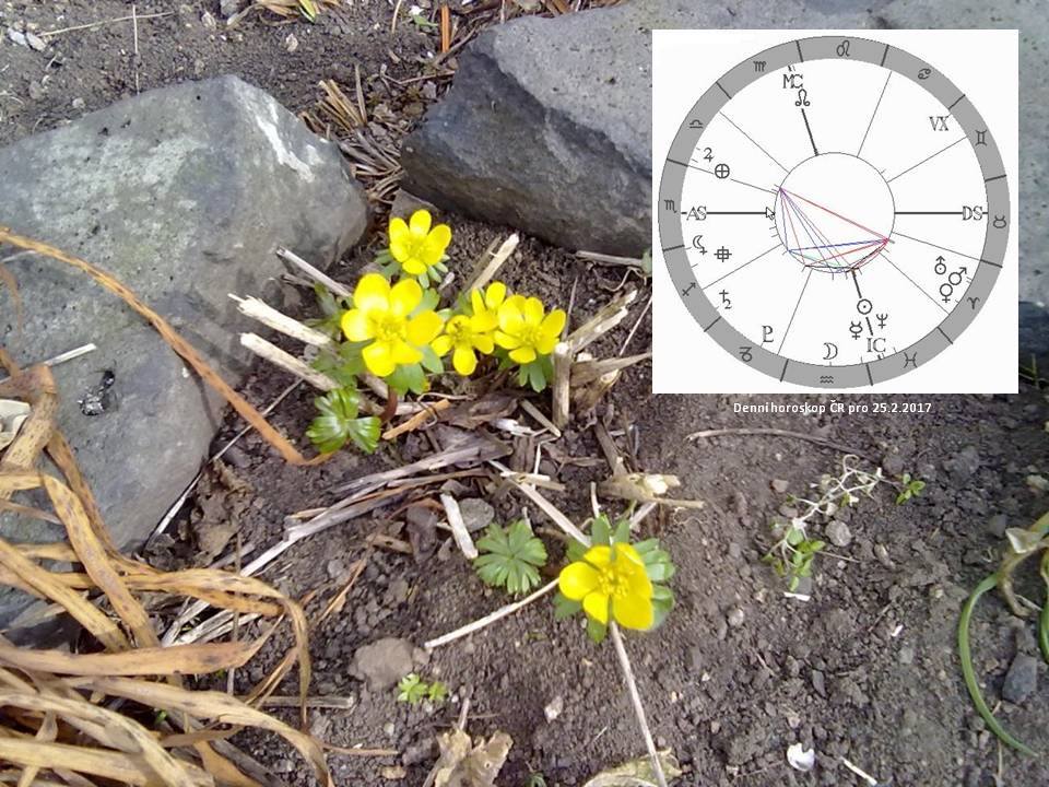 Denn� horoskop - obr�zek