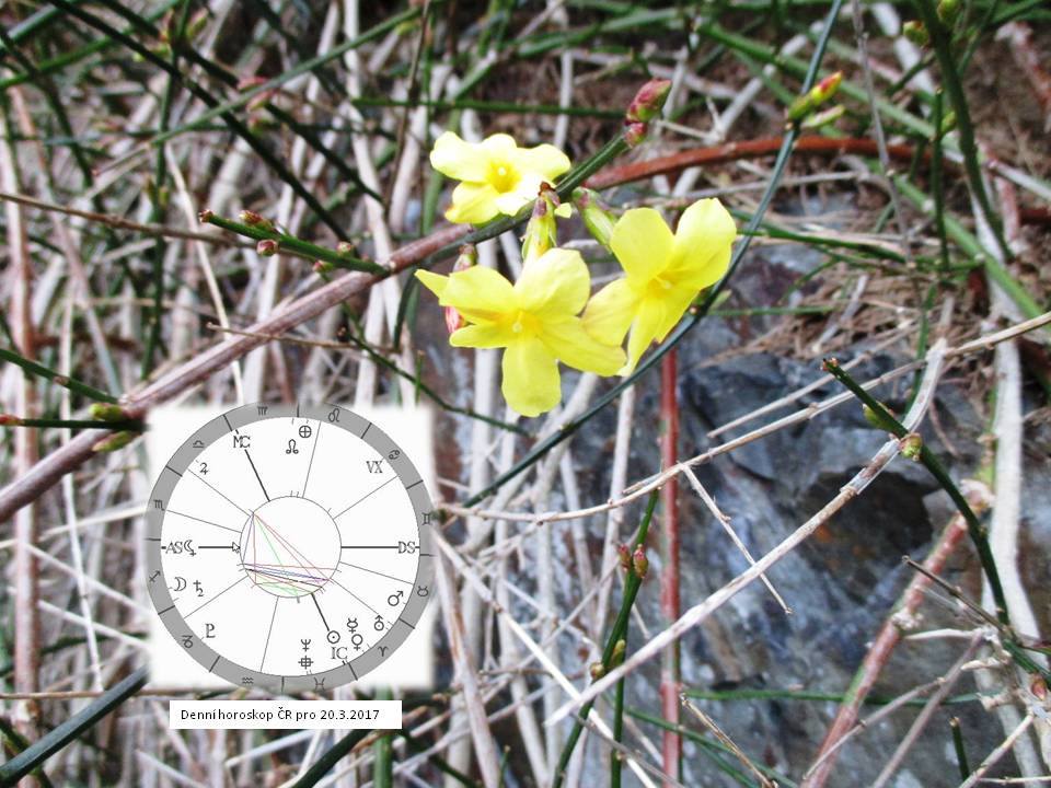 Denn� horoskop - obr�zek
