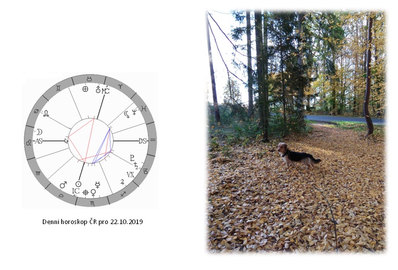 Denn� horoskop - obr�zek