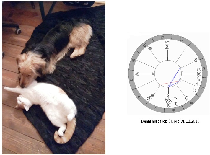 Denn� horoskop - obr�zek