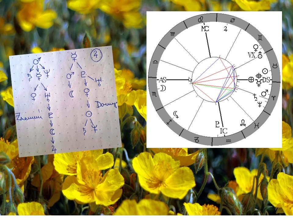 Denn� horoskop - obr�zek