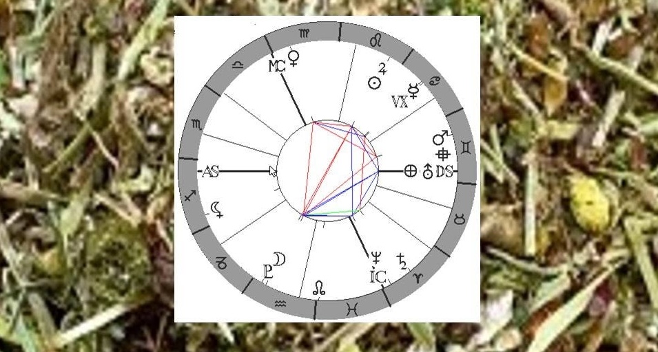 Denn� horoskop - obr�zek