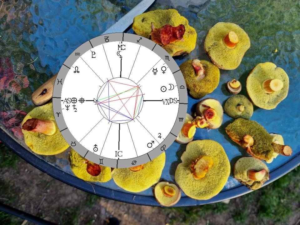 Denn� horoskop - obr�zek